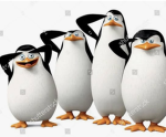 Pinguïns from mafagaskar
