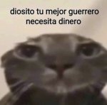 Solo mid amigos so quieted estar manda soli