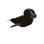 Seal_clan_orginal