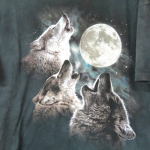 wolf team! :D