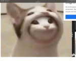 Popcats group