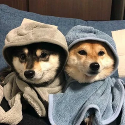 the wars of doge UGC Roblox group icon