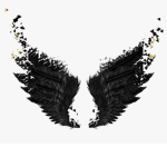 fade wings