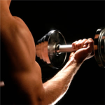 MUSCLE DUDES