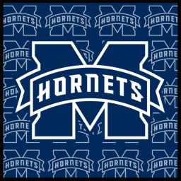 Midwood Hornets Athletics