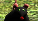 bEcoMe a rAts