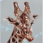 girafffess