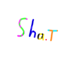 sha sha team :>