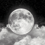 The Moonlight Dreamers