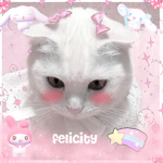 . . .felicity