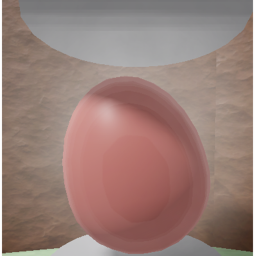 The Egg Hatching Experience.