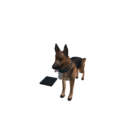 MCSO K9