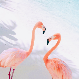 𝚕𝚒𝚟𝚎