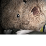 Bear is soo cute