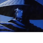 Ninja Zone Protectors