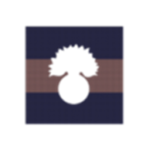 Queen's Company ᅠ