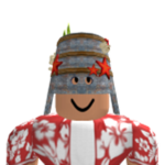 The roblox scripted