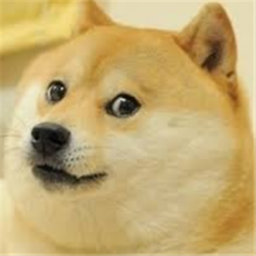[TRAILS!] Doge Simulator!