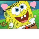 SpongeStylz