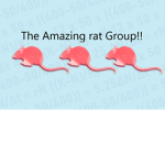Amazing Rat Group!