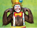 The Monke Army of drip