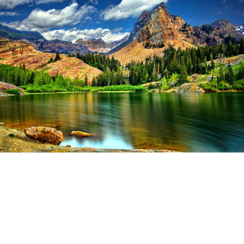 New! Nature Tycoon (Returned)