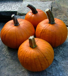 THE_PUMPKIN EMPIRE