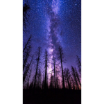 ·StaRs·