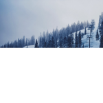 __Frost__