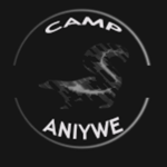 Camp Aniwye Advisory Board