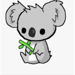 wild koalas
