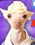 skebidii