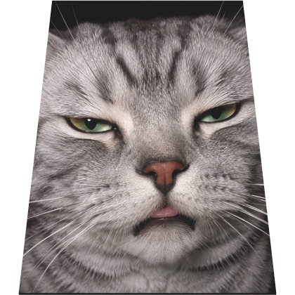 Grumpy Silver Tabby Cape Roblox item