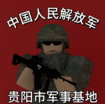 [GYPLA]贵阳TAD训练管理部