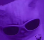 Roblox purr