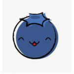 Just BlueBerry