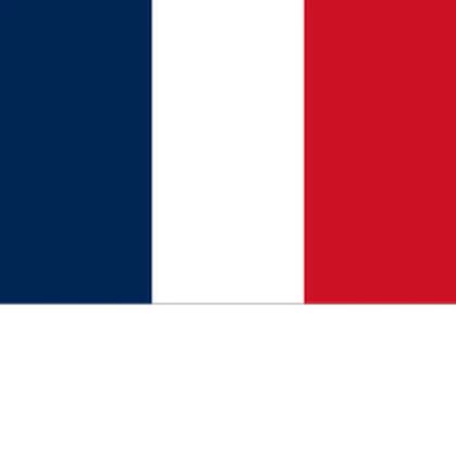 [FR] French Republiс Roblox group icon