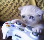 gatitosh