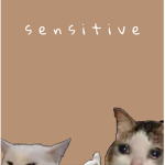 S E N S I T I V E E E