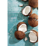 Coconut Milk Shop
