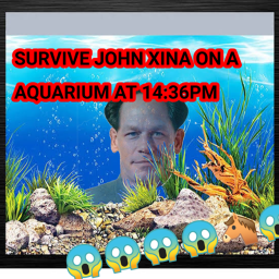 Survive John Xina