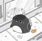 ۶ Home ۶