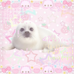 ♡🎀