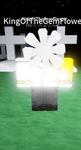 2O24 Realm