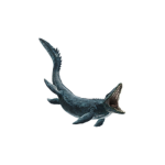 Mosasaurus team