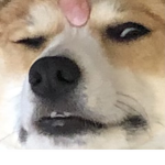 Sm1le_Sm1le