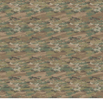 United States Army   
