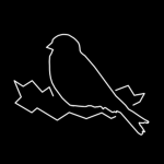 A Sparrow Studio