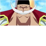 Whitebeard_Pirates