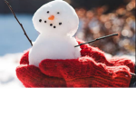 SnowyWonderlands